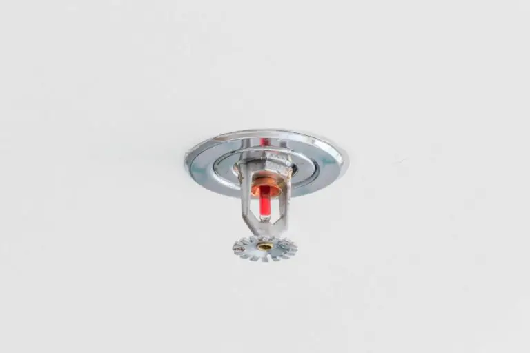 Automatic fire sprinkler head on a white ceiling.